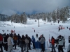 DSCF0474